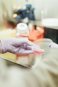 7 façons dont l'intelligence artificielle transforme la gestion des tests de non-régression dans les environnements DevOps modernes